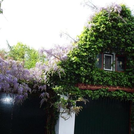 Gartenplanung