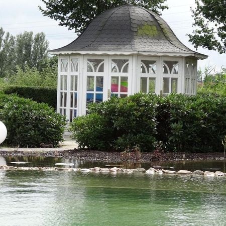 Schwimmteiche und Zierteiche