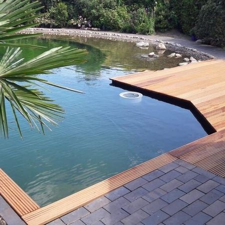 Schwimmteiche und Zierteiche