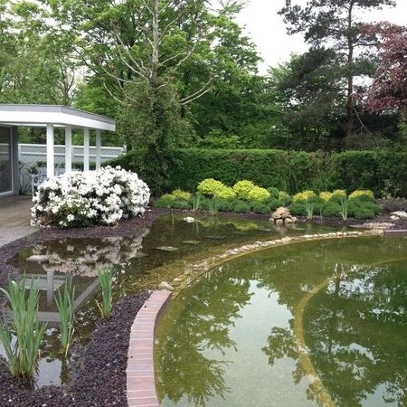 Schwimmteiche und Zierteiche